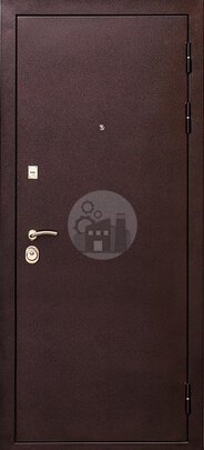 Металлическая дверь с двумя замками, порошковый окрас-ДВ-248