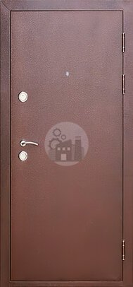 стальная дверь с тремя петлями, окрас порошком, внутри мдф-ДВ-251
