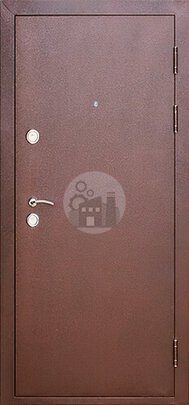 Металлическая антивандальная дверь в частный дом-ДВ-748