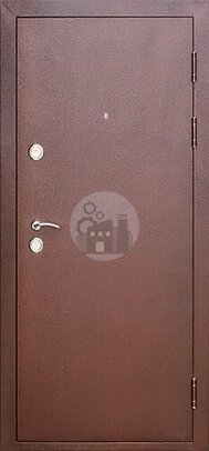 металлическая антивандальная дверь в частный дом-ДВ-748